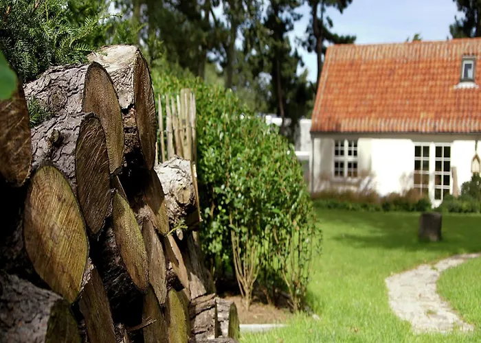 Ferienhaus With 3 Bedrooms Koksijde