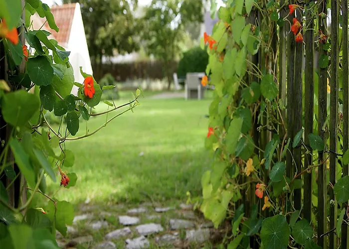 Ferienhaus With 3 Bedrooms